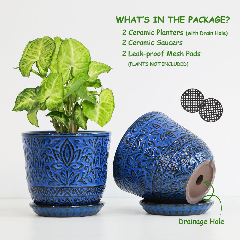 Gepege drainage hole and saucer demonstrating tidy water management