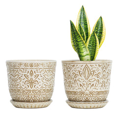 Gepege front view of 6-inch ceramic planter showing modern finish and curb appeal
