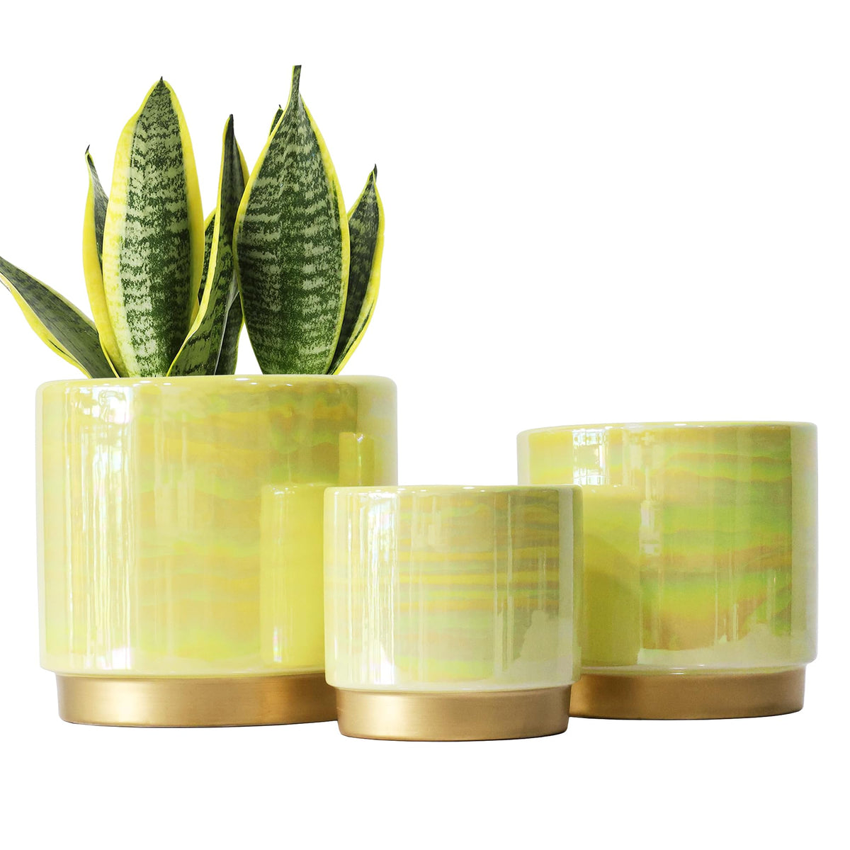 Gepege front view showing three rainbow ceramic pots for stylish display