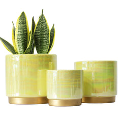 Gepege front view showing three rainbow ceramic pots for stylish display