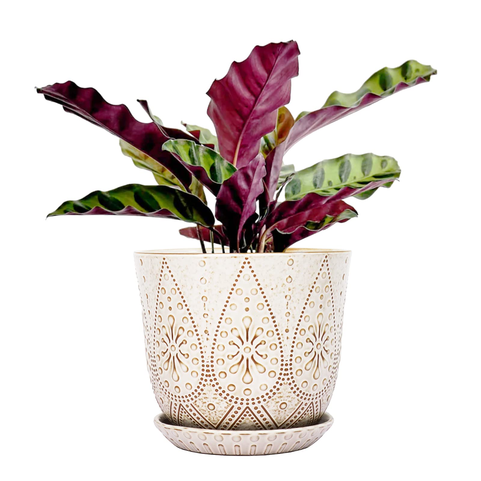 Gepege front view white ceramic pot showing clean design and versatility