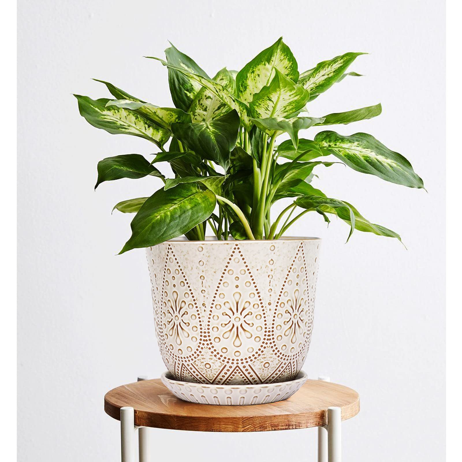 Gepege pot gift wrapped to show readiness as a present for plant lovers