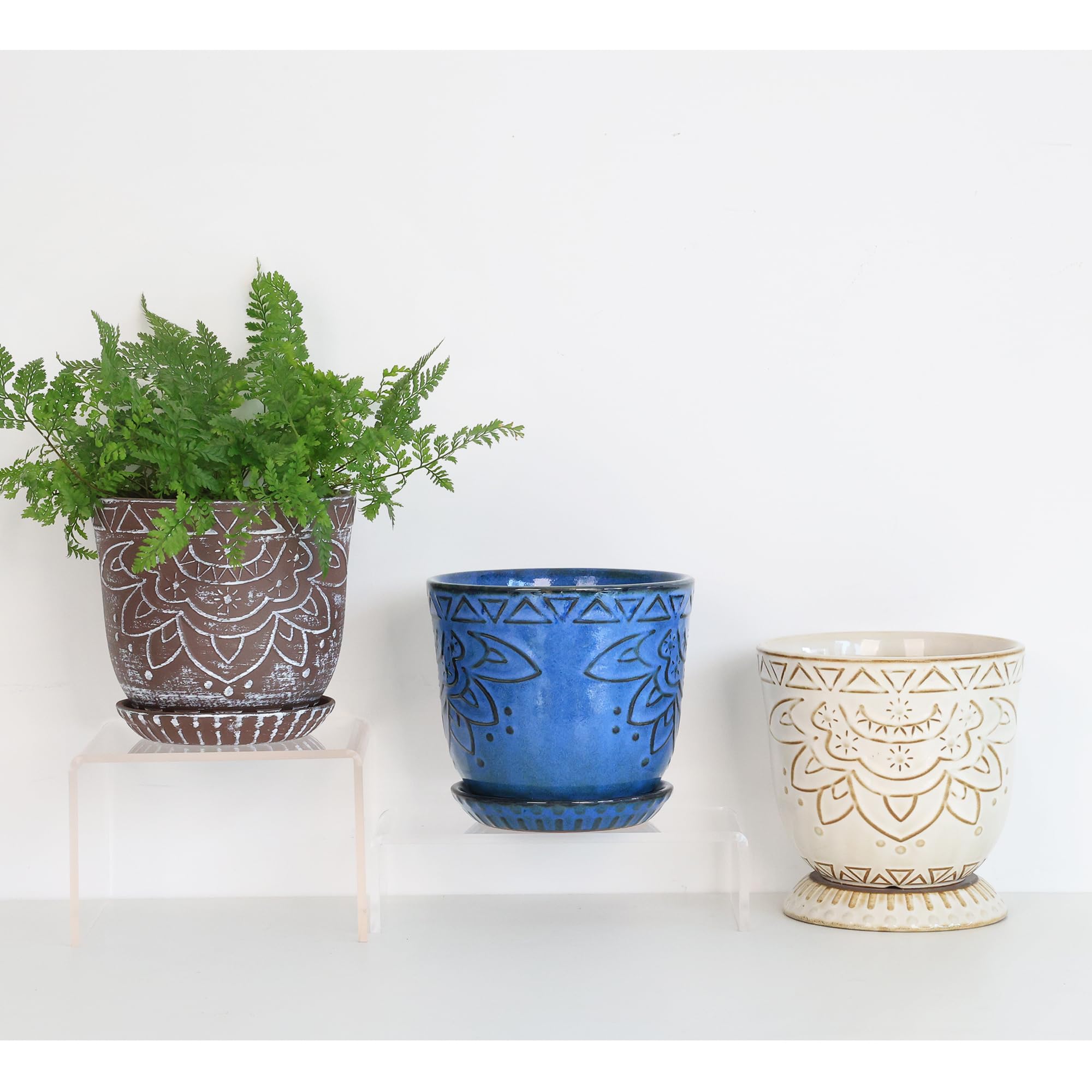 Gepege grouped display on shelf creating coordinated plant styling and visual impact