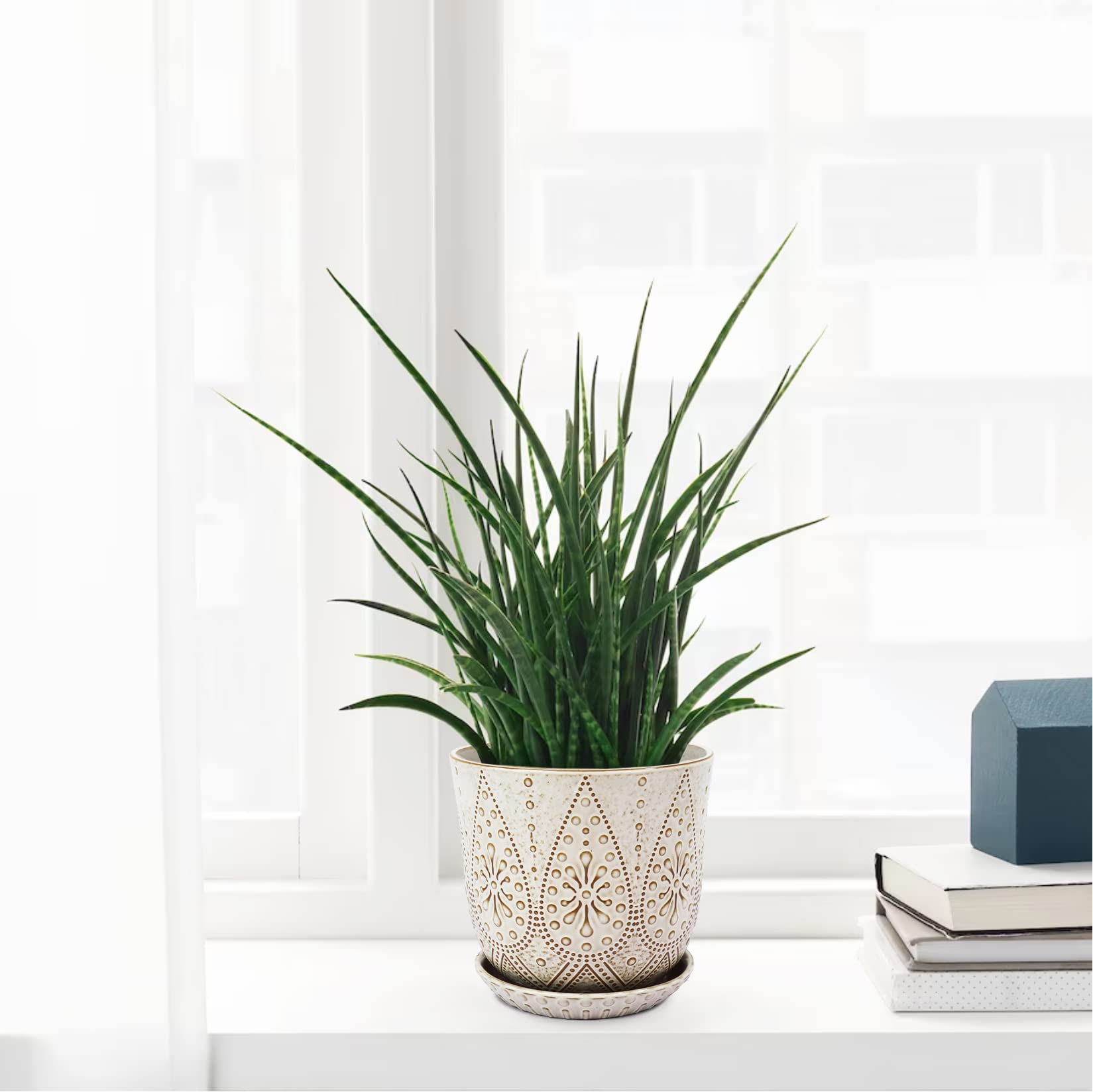 Gepege pot held in hand to show 8-inch scale and compact practicality