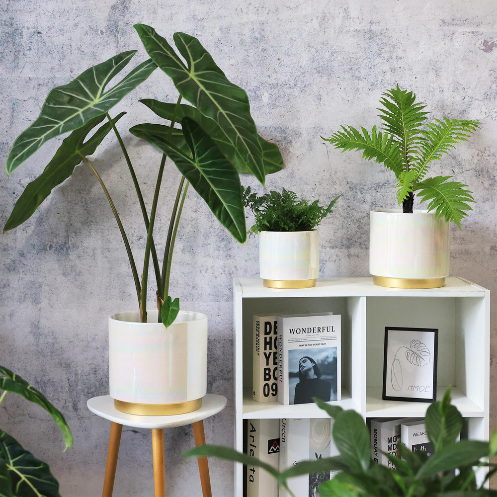 Gepege lifestyle living room display showcasing decorative impact and focal appeal