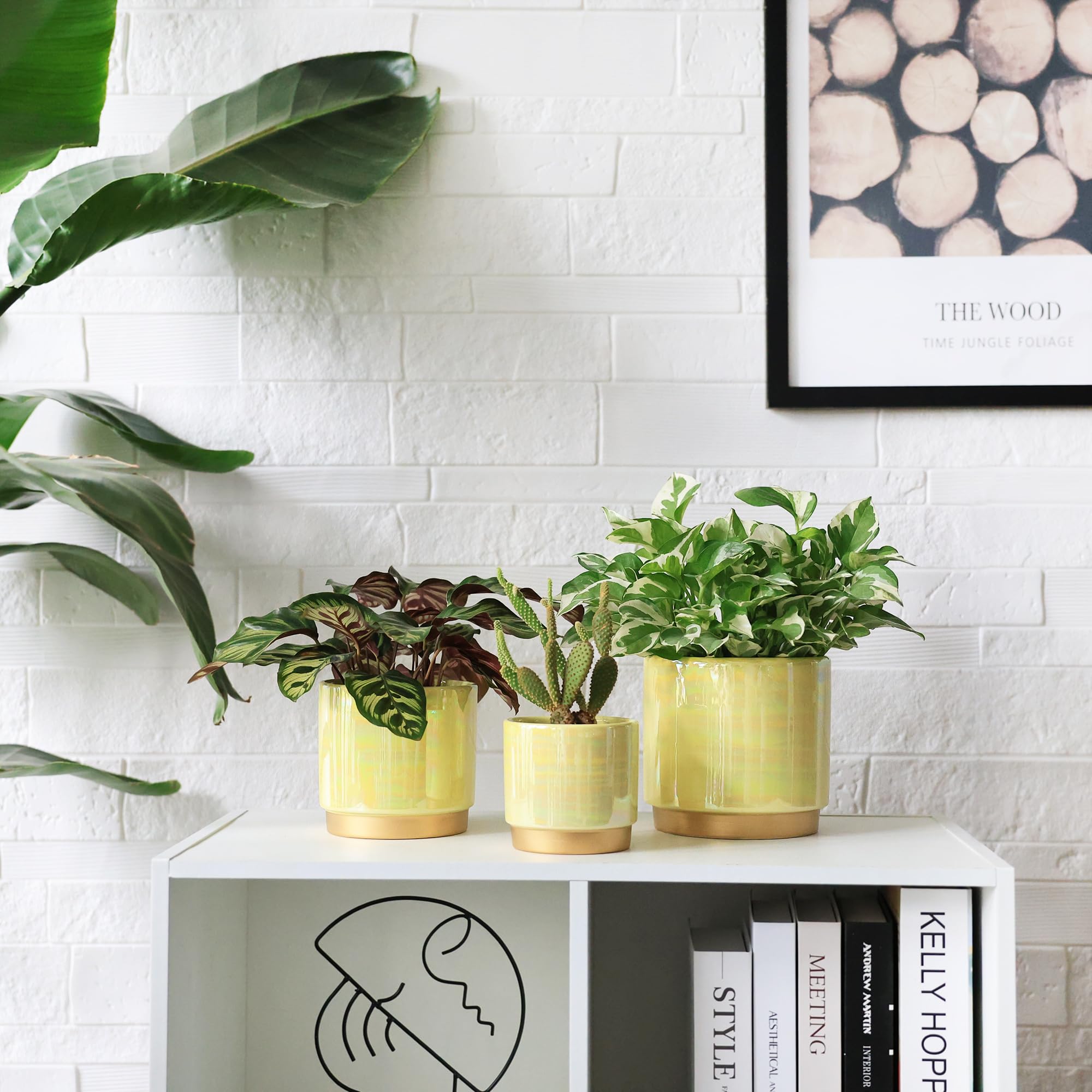 Gepege tabletop lifestyle display adding decorative color to living space