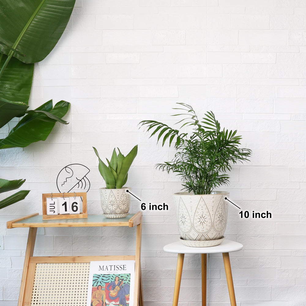 Gepege maceta en uso con suculenta mejorando la decoración interior