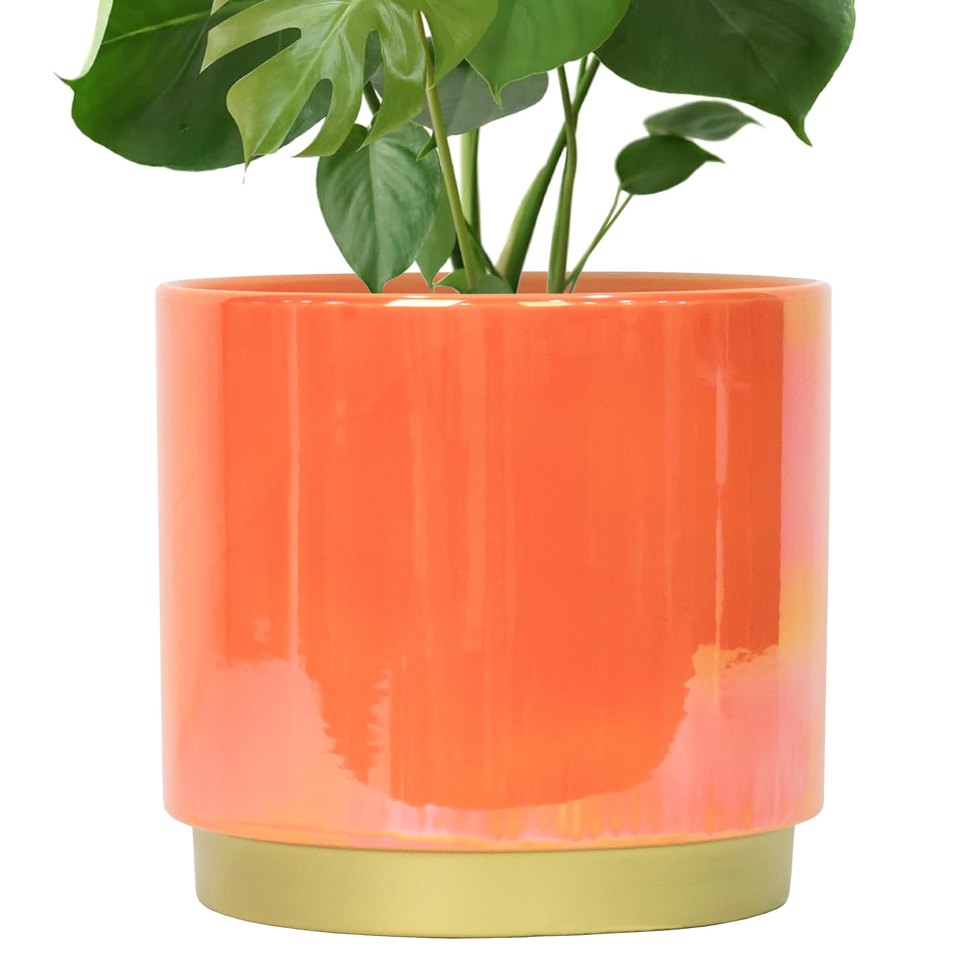 Gepege front view glazed planter showing colorful finish and decorative appeal