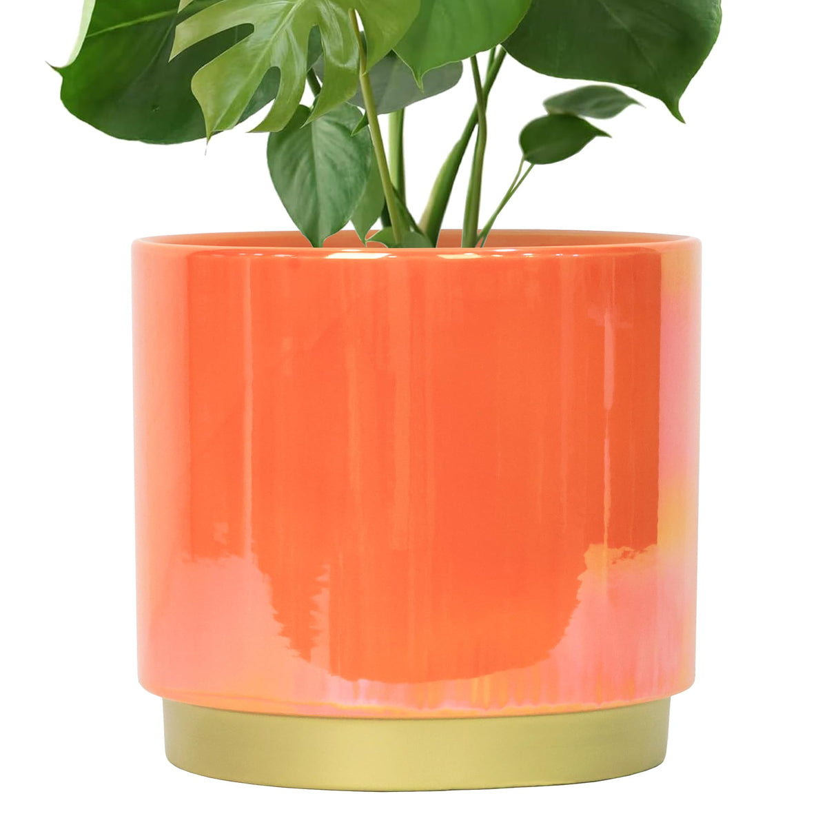 Gepege front view glazed planter showing colorful finish and decorative appeal