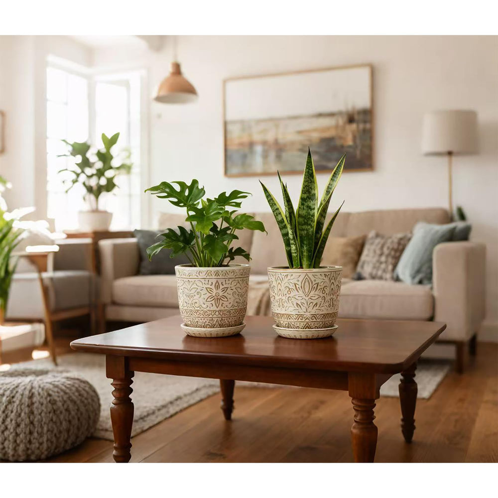 Gepege planter with succulent on windowsill showing easy indoor placement