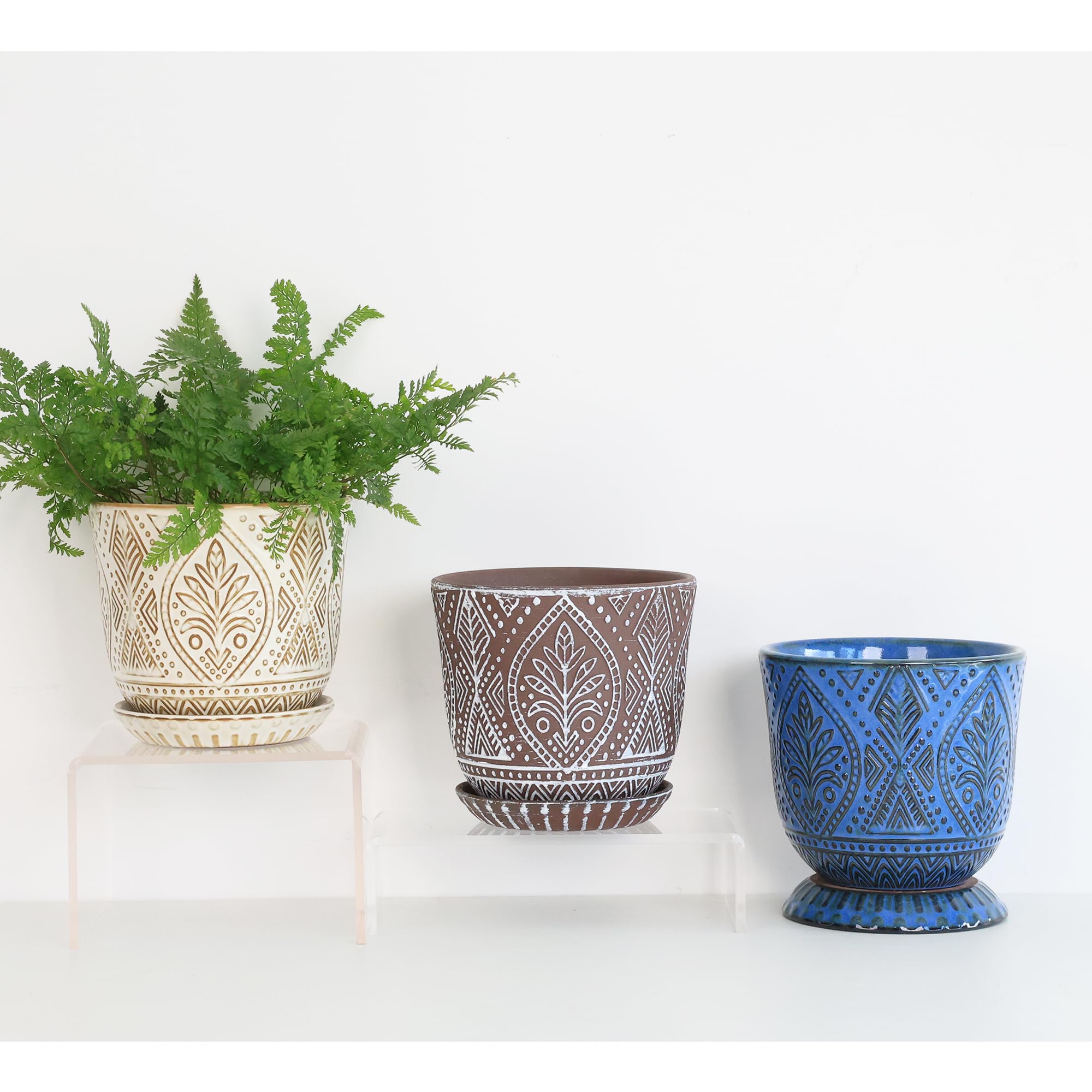 Gepege pot next to ruler showing scale so you can choose the right plant size