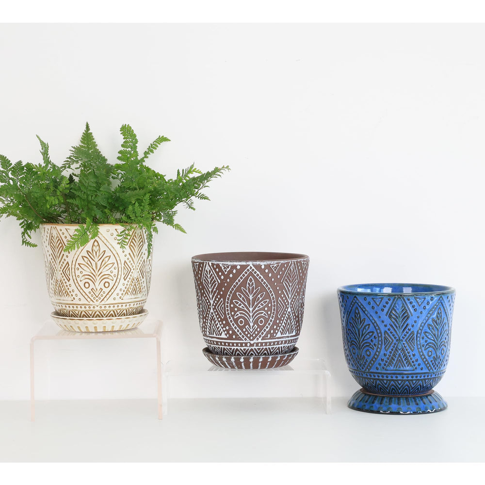 Gepege pot next to ruler showing scale so you can choose the right plant size