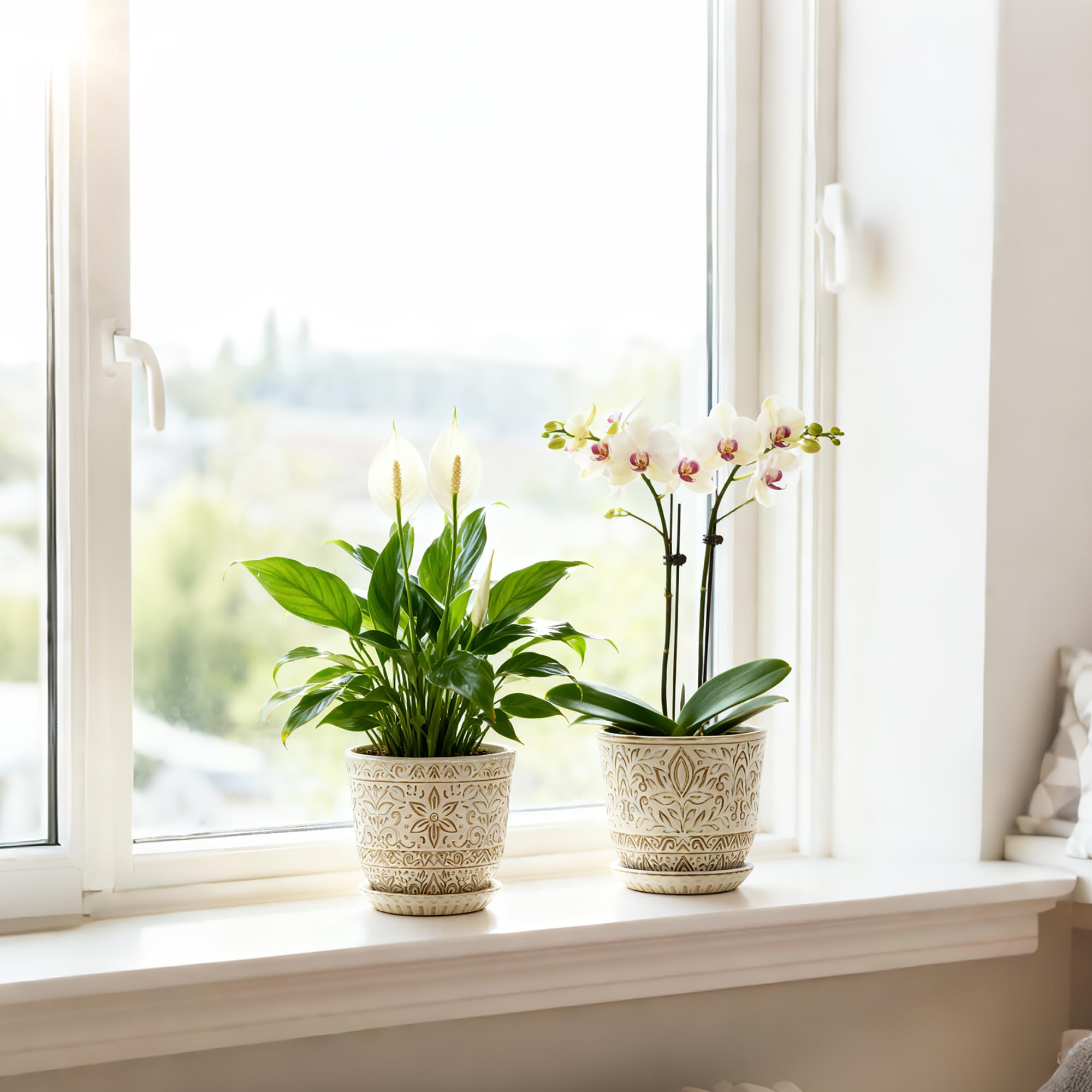 Gepege planter beside hand to show 6-inch scale and easy handling