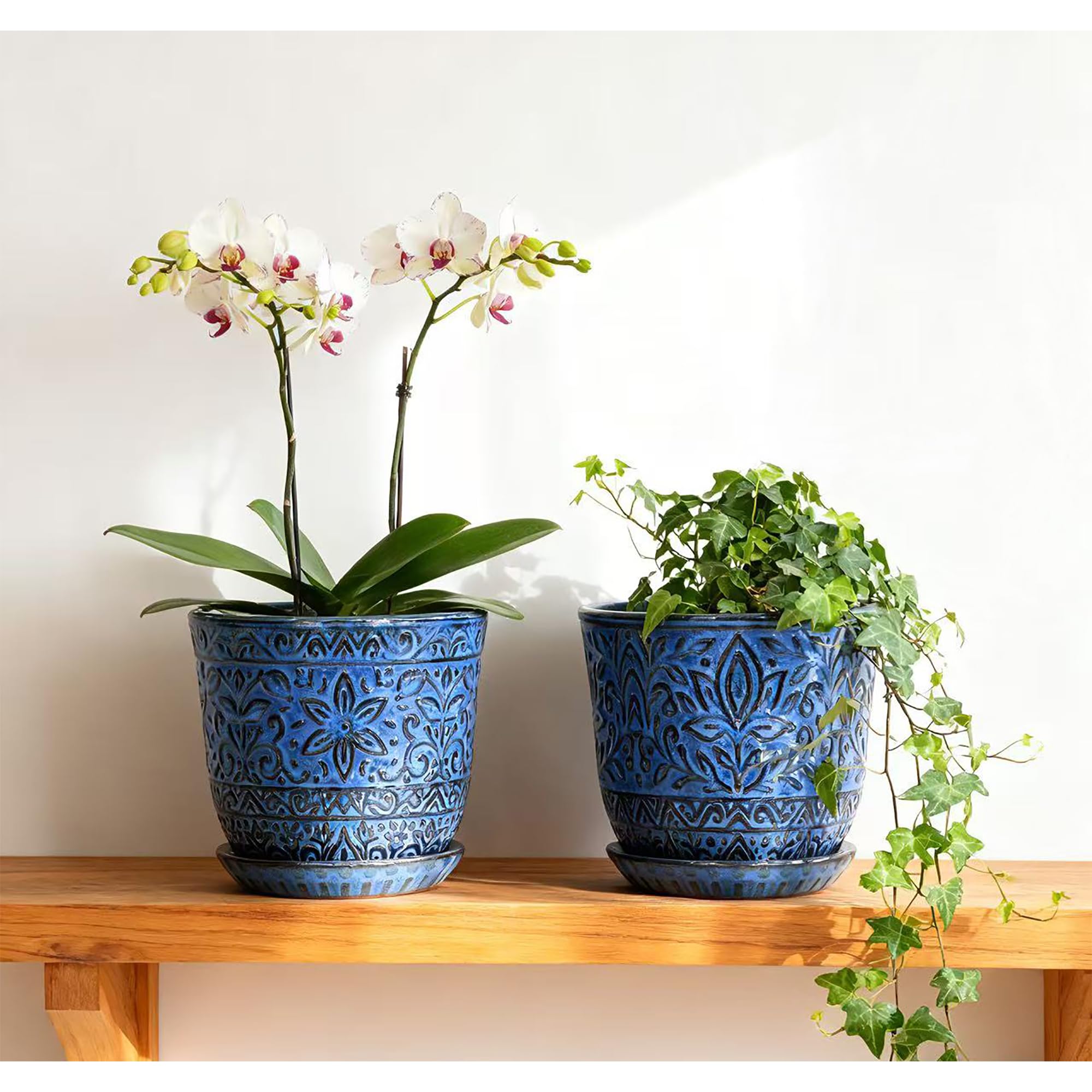 Gepege size comparison with hand illustrating compact planter scale