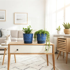 Gepege with succulent on windowsill adding greenery and brightening indoor space