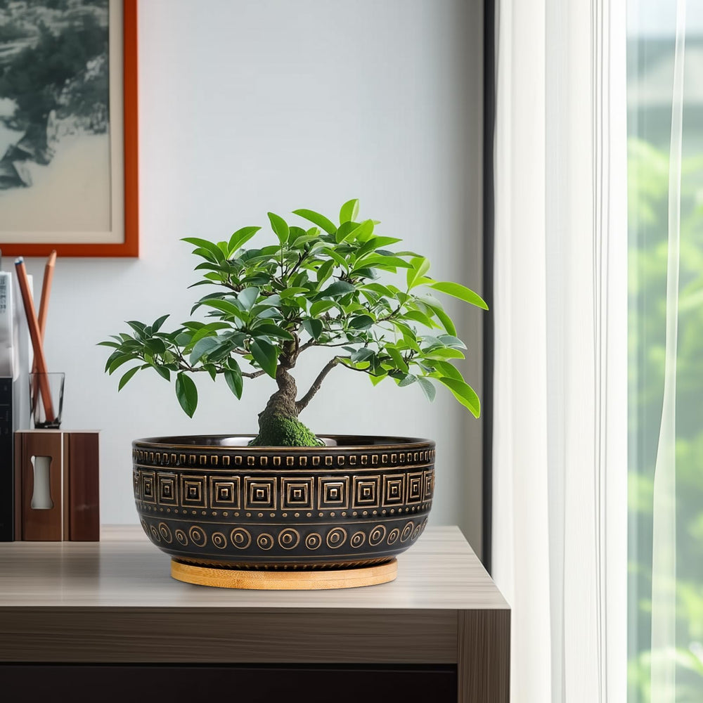 G EPGardening planter on bathroom windowsill demonstrating moisture-safe décor