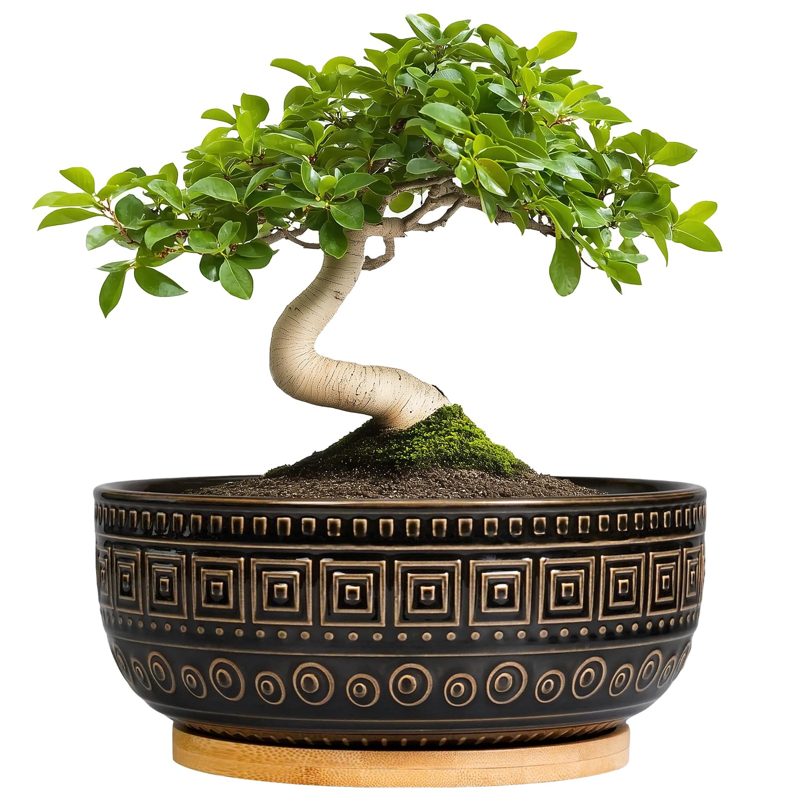 G EPGardening front view of black 8-inch planter showing clean modern look and stability