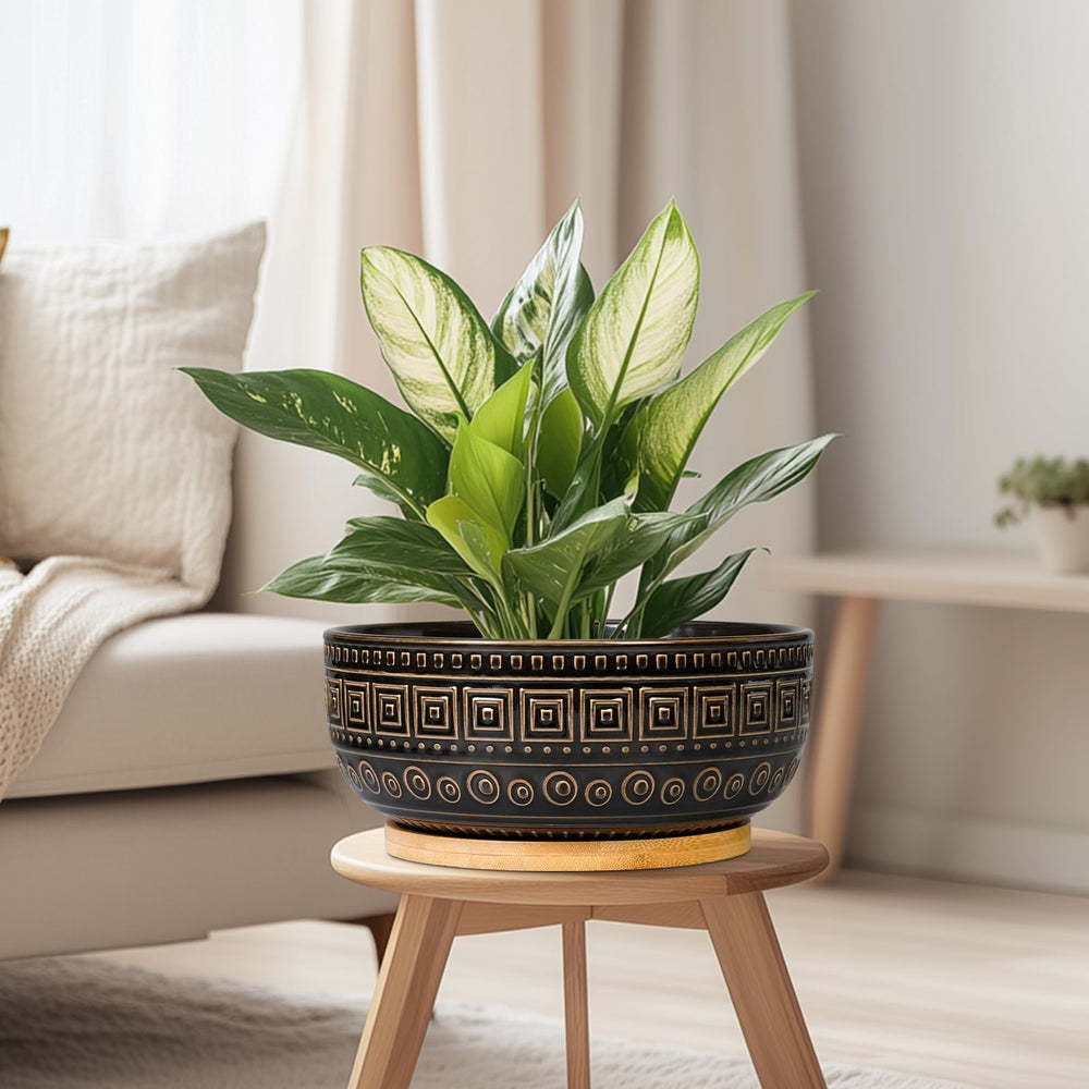 G EPGardening packaged planter with mesh and saucer indicating ready-to-use kit