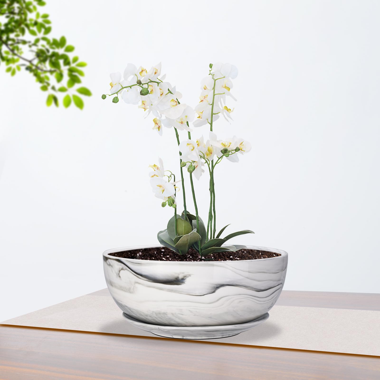 G EPGardening planter on window sill delivering bright-room style and function