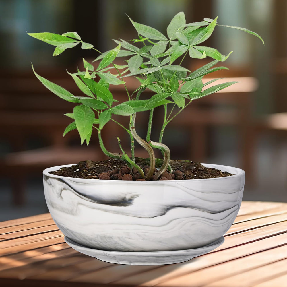 G EPGardening planter packaged ready to gift for plant lovers