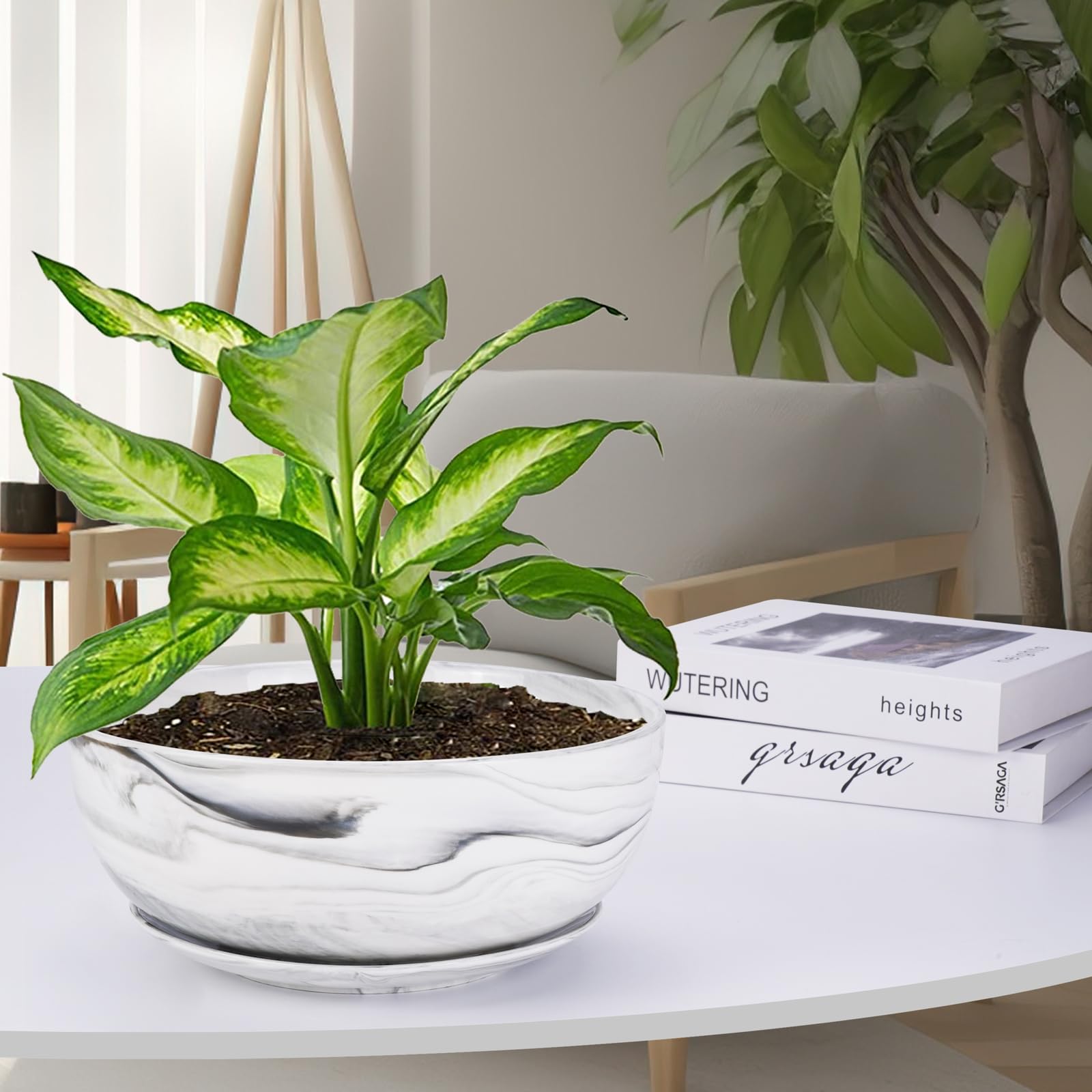 G EPGardening planter held in hand to show scale and shallow depth