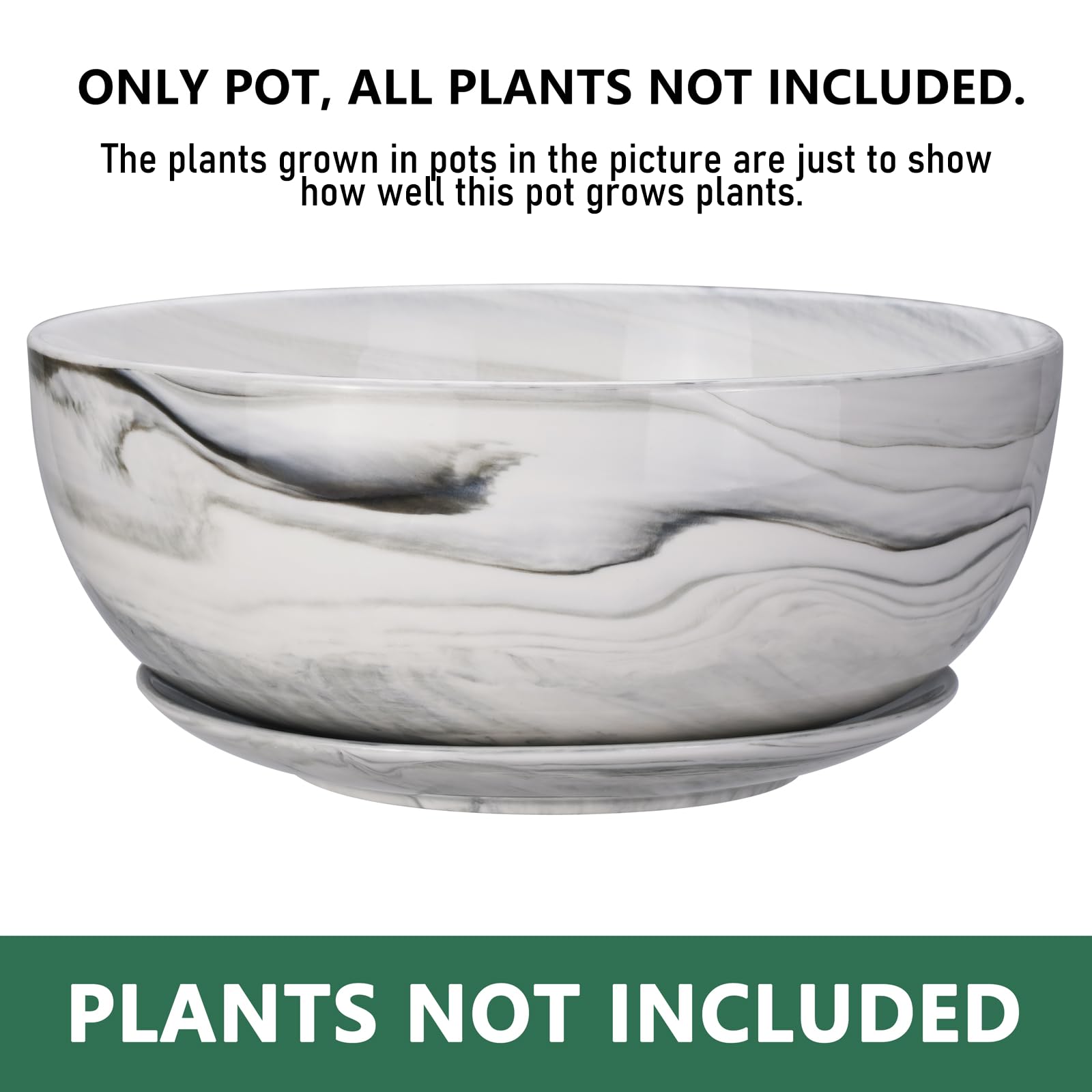 G EPGardening top view wide mouth planter ideal for arranging succulents