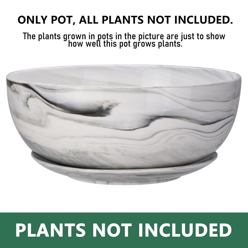 G EPGardening top view wide mouth planter ideal for arranging succulents