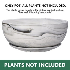 G EPGardening top view wide mouth planter ideal for arranging succulents