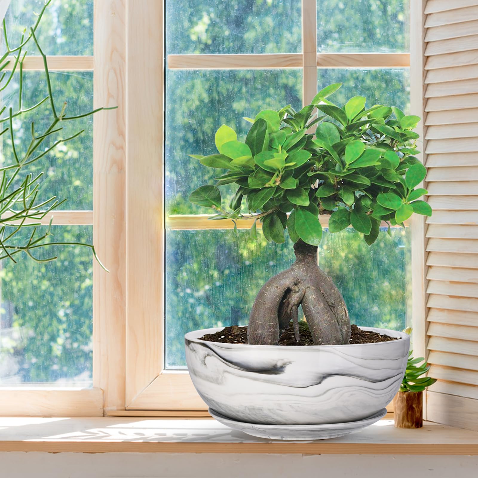 G EPGardening planter staged with succulents for decorative indoor display