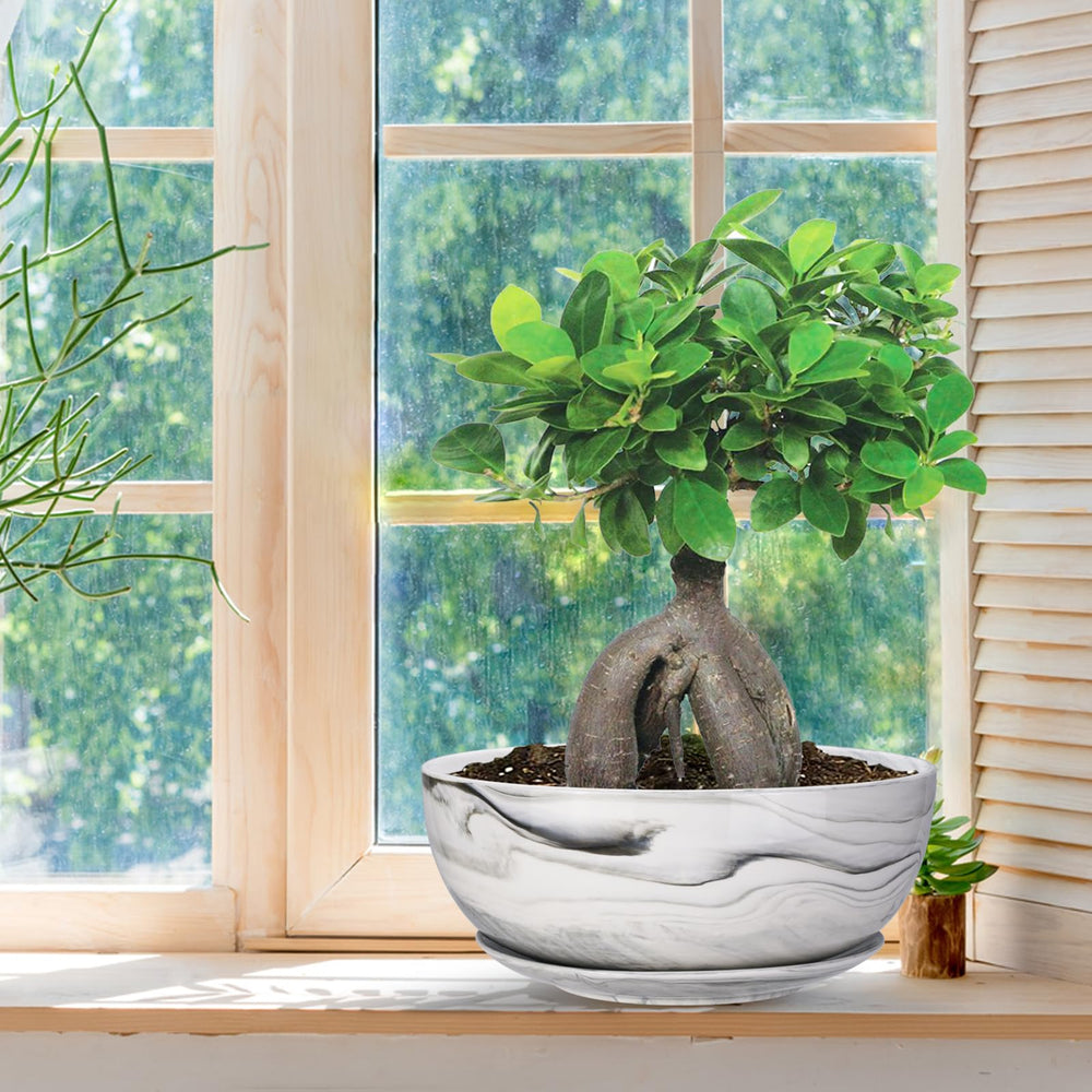 G EPGardening planter staged with succulents for decorative indoor display