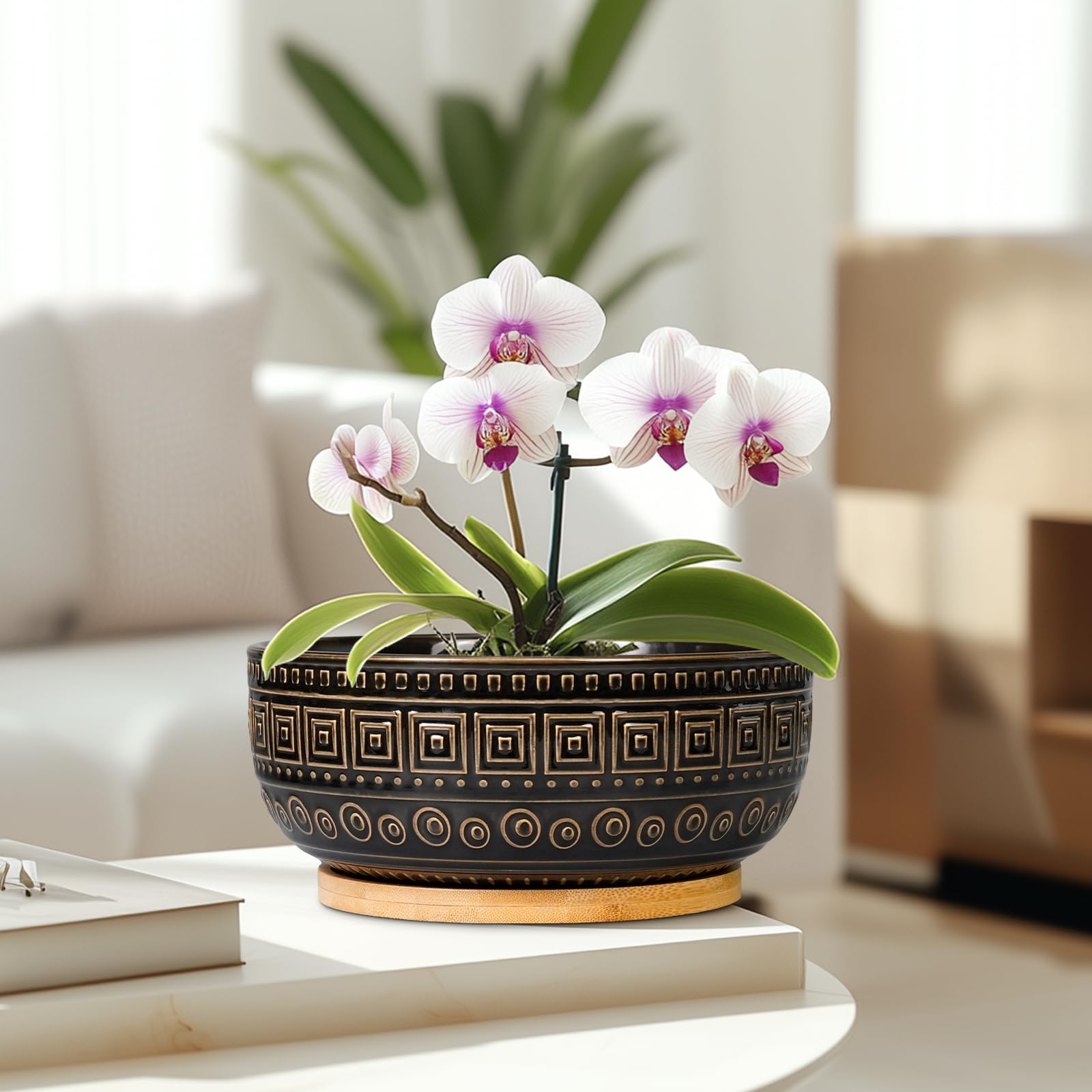 G EPGardening planter with succulent on shelf showing compact display and style