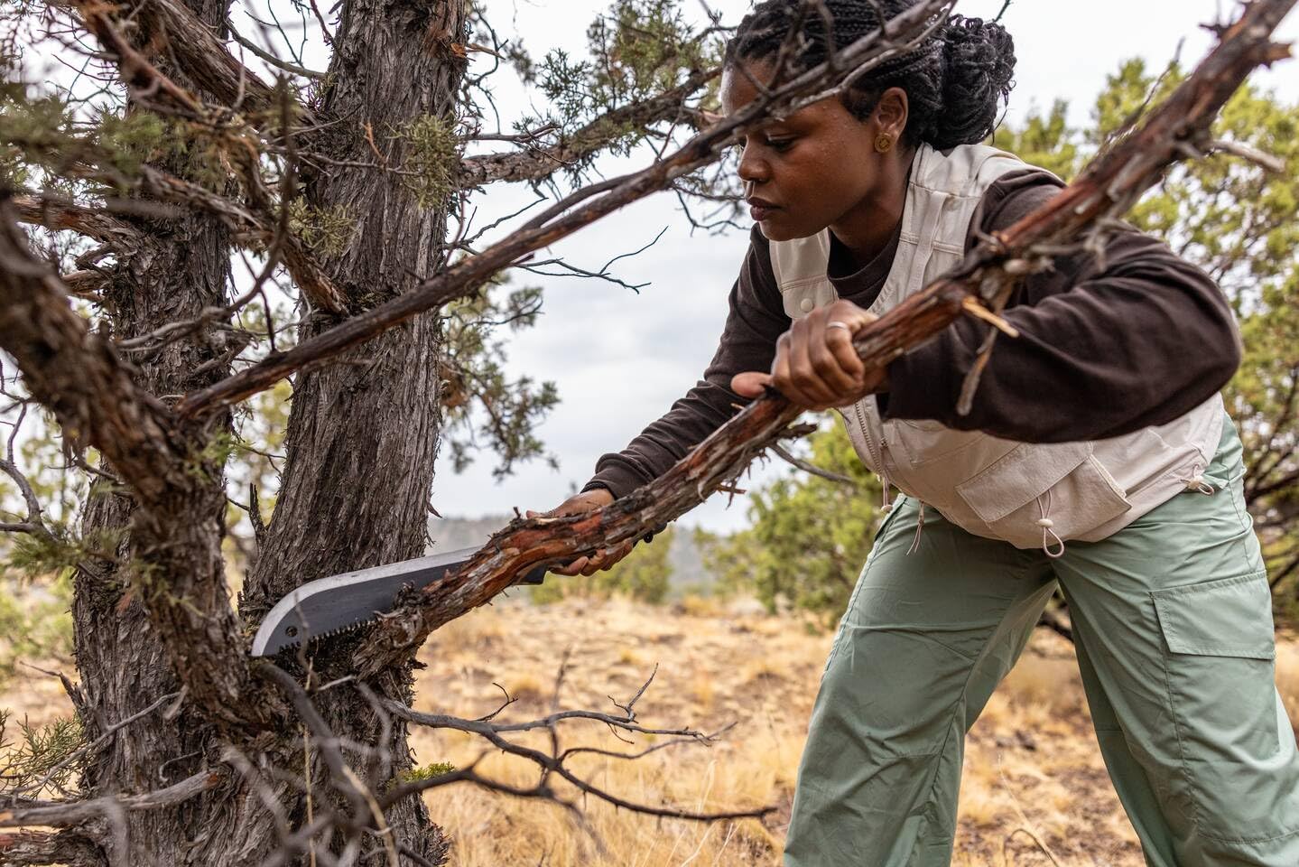 Gerber Gator machete jr staged at campsite showing multiuse cutting and prep benefits