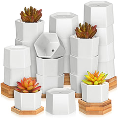 Gerrii front view of 24 white mini pots showing neat bulk storage and style benefit