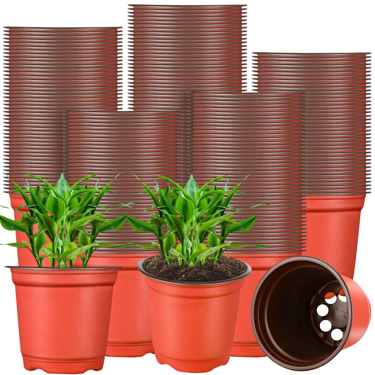 Gerrii front view of 4-inch brown nursery pots showing bulk quantity and neat stacking benefit
