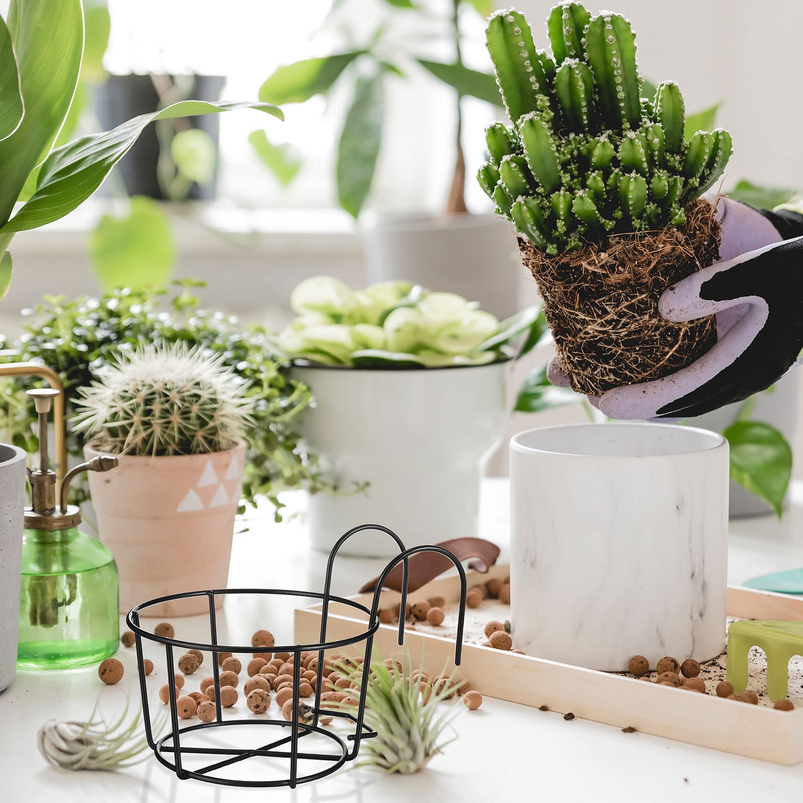 Gerrii lifestyle balcony display of multiple planters creating a neat garden row