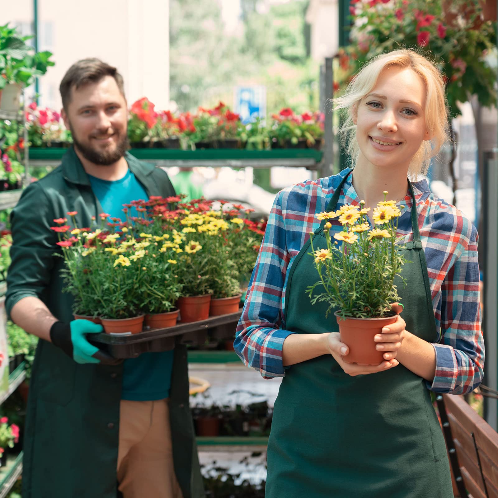 Gerrii pots on greenhouse shelf showing organized propagation and workflow efficiency