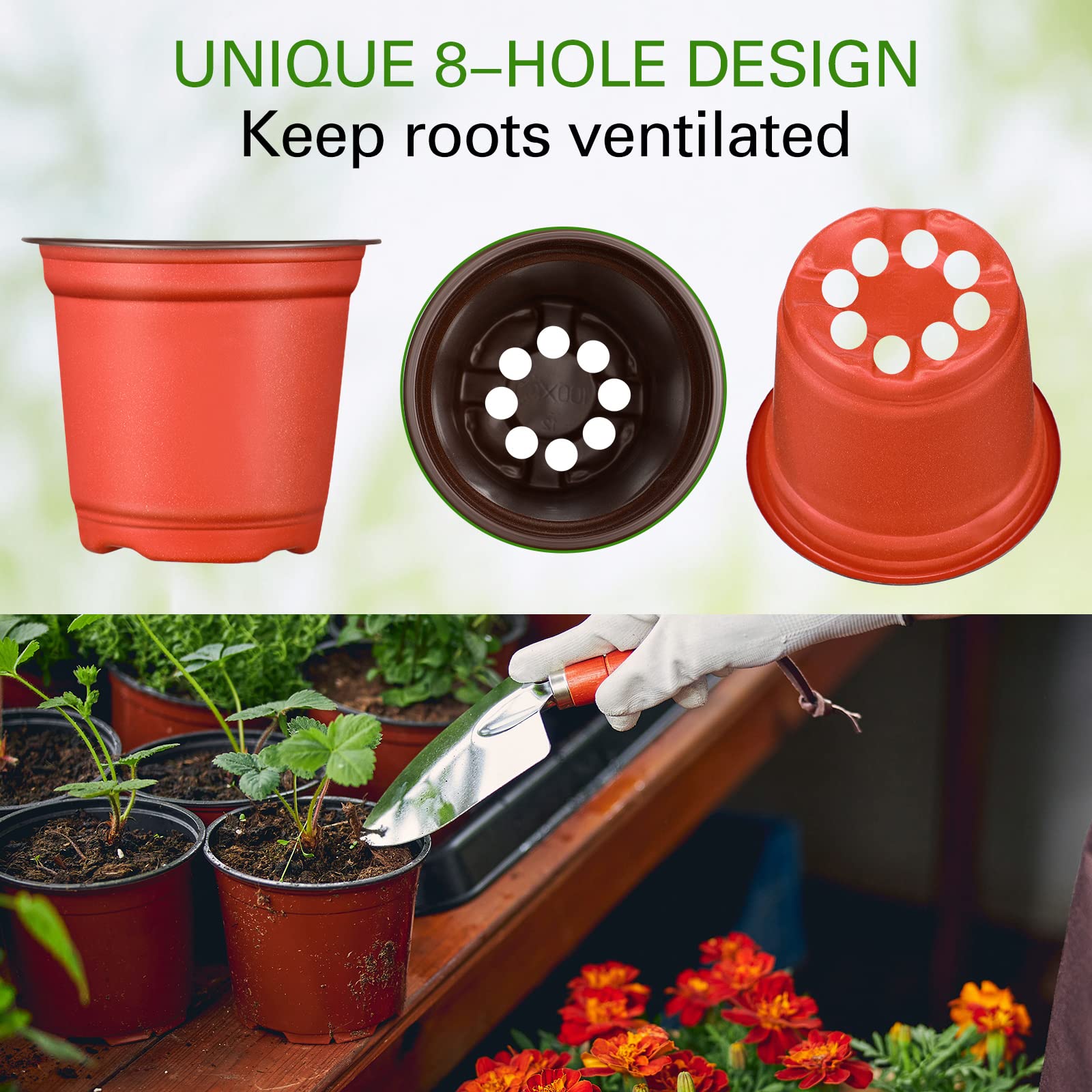 Gerrii pots planted with succulents showing starter growth and attractive display