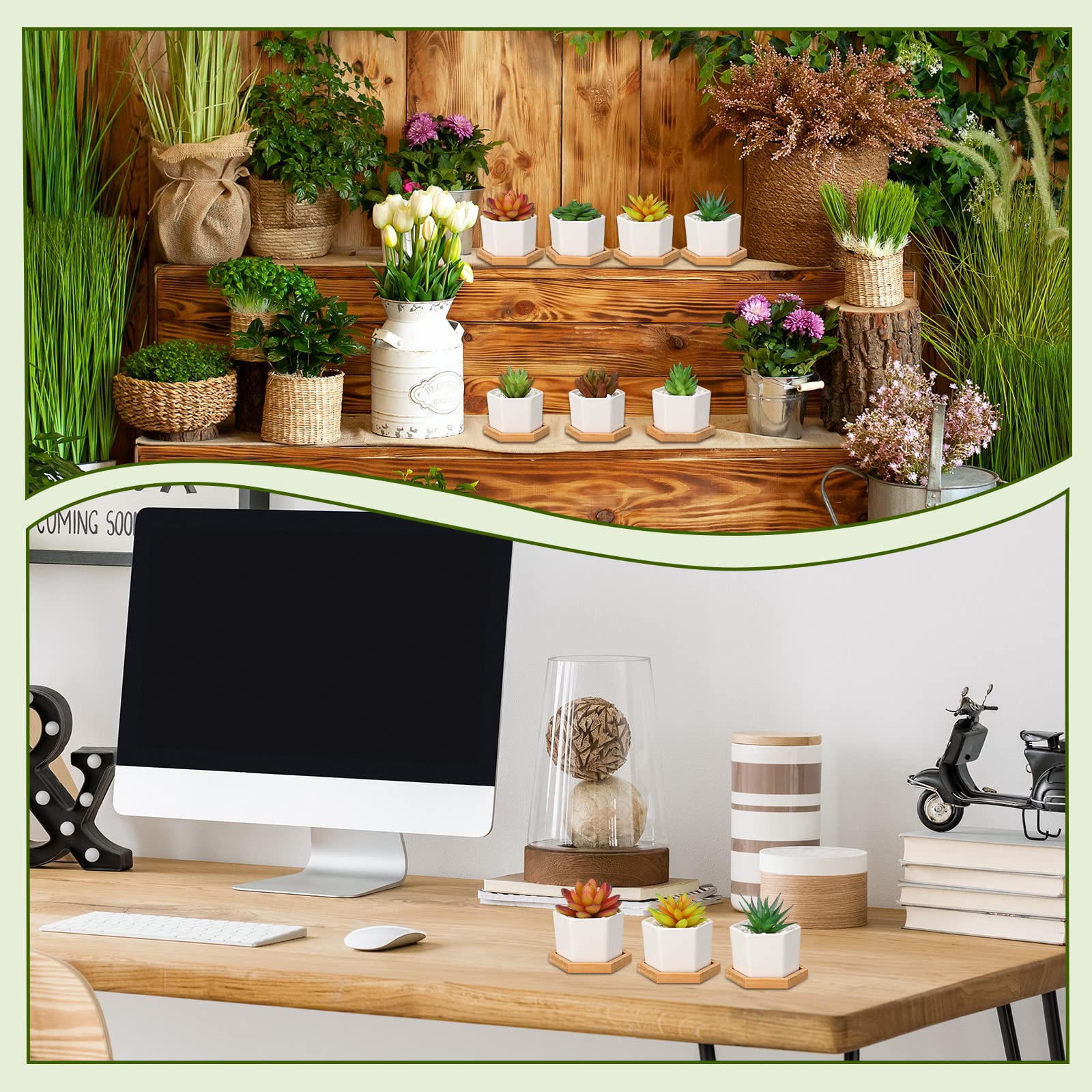 Gerrii pot in hand showing scale and convenience for desktop or shelf placement