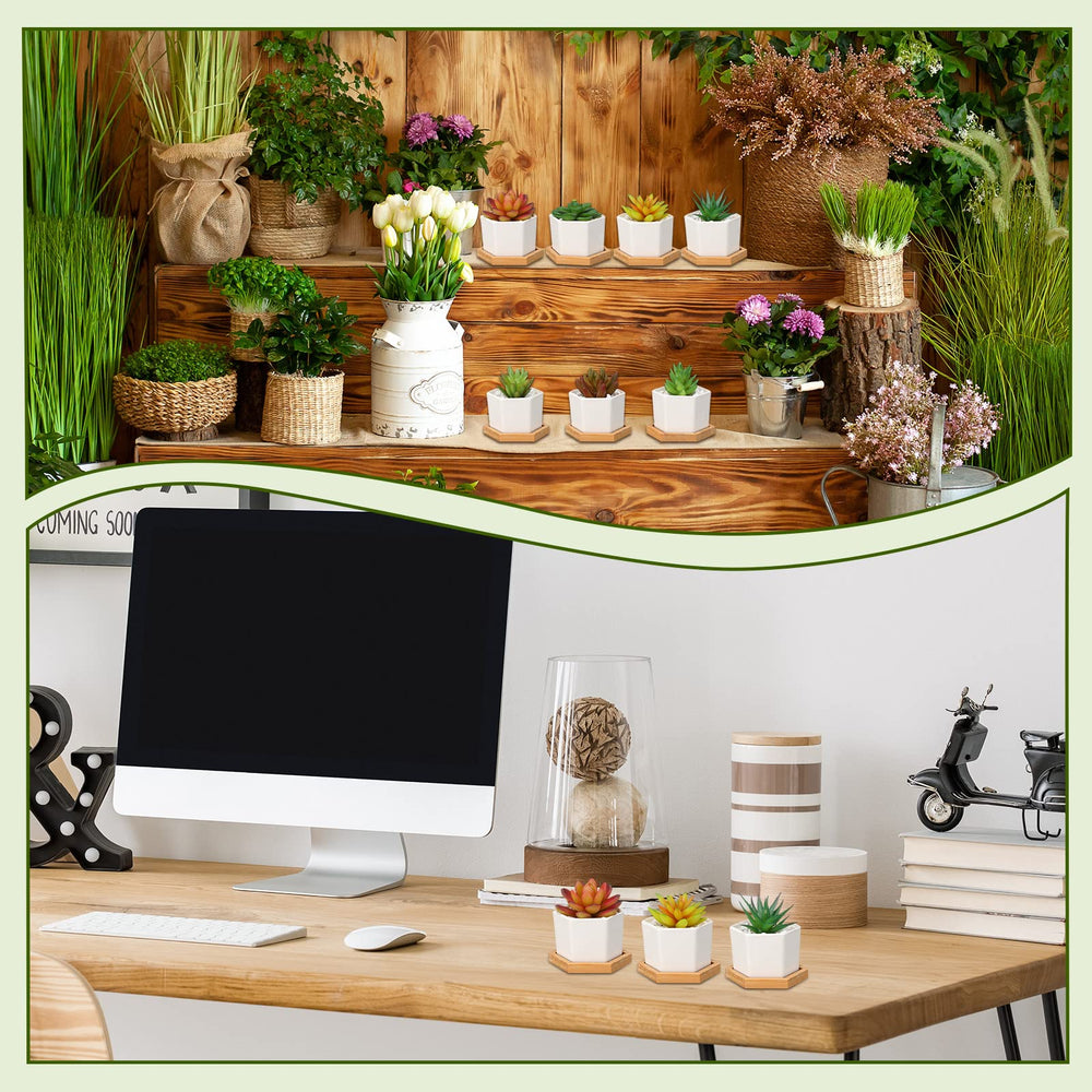 Gerrii pot in hand showing scale and convenience for desktop or shelf placement