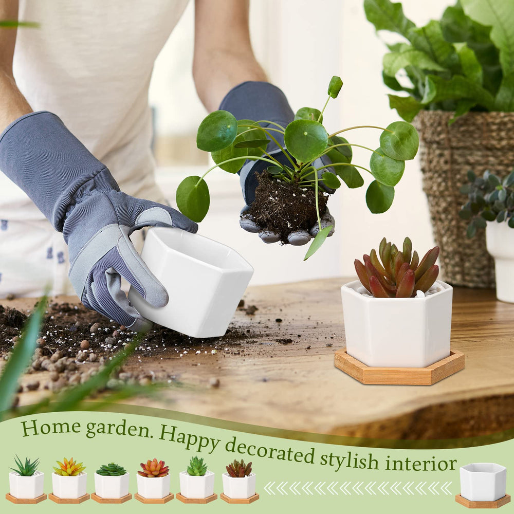 Gerrii styled tabletop with many pots demonstrating cohesive décor and versatility