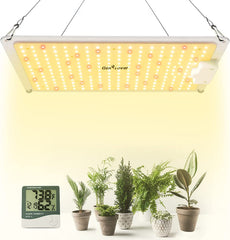 Gerylove SP1000 front view showing full-spectrum LEDs and compact frame benefits
