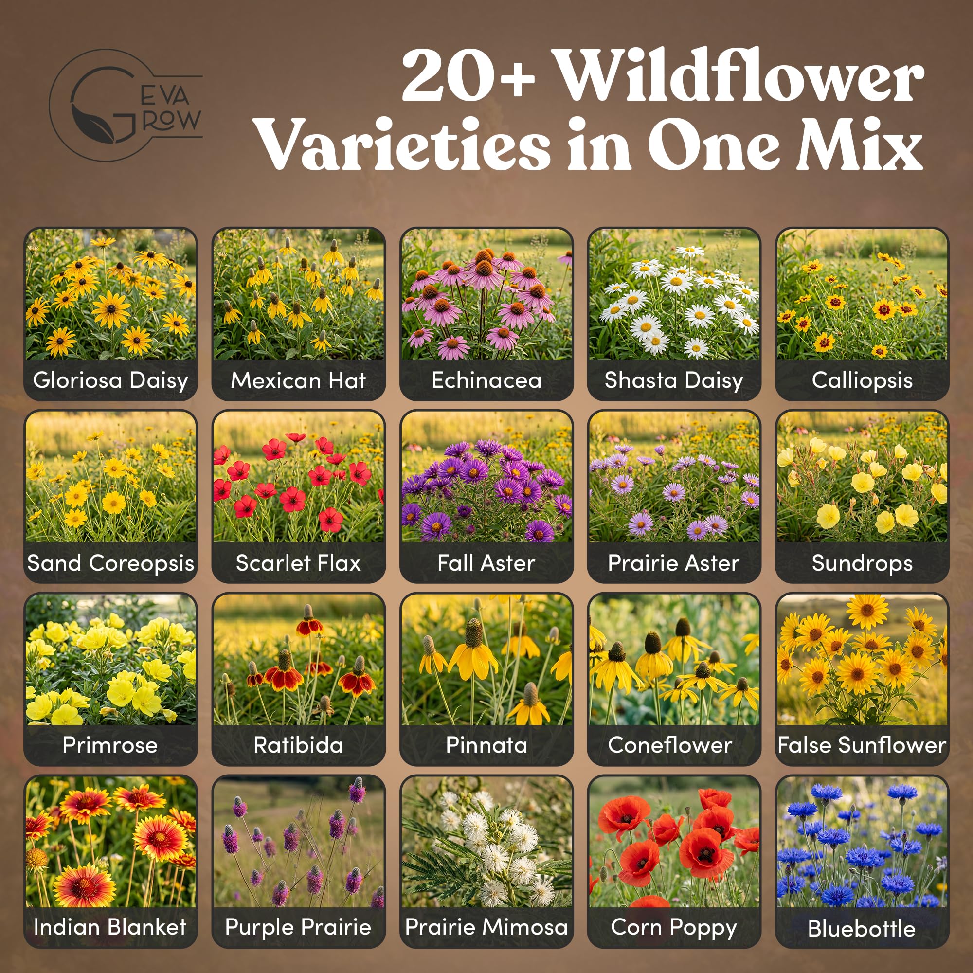 Close-up of GevaGrow mixed wildflower seeds highlighting variety and purity