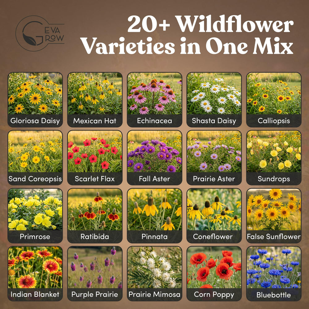 Close-up of GevaGrow mixed wildflower seeds highlighting variety and purity