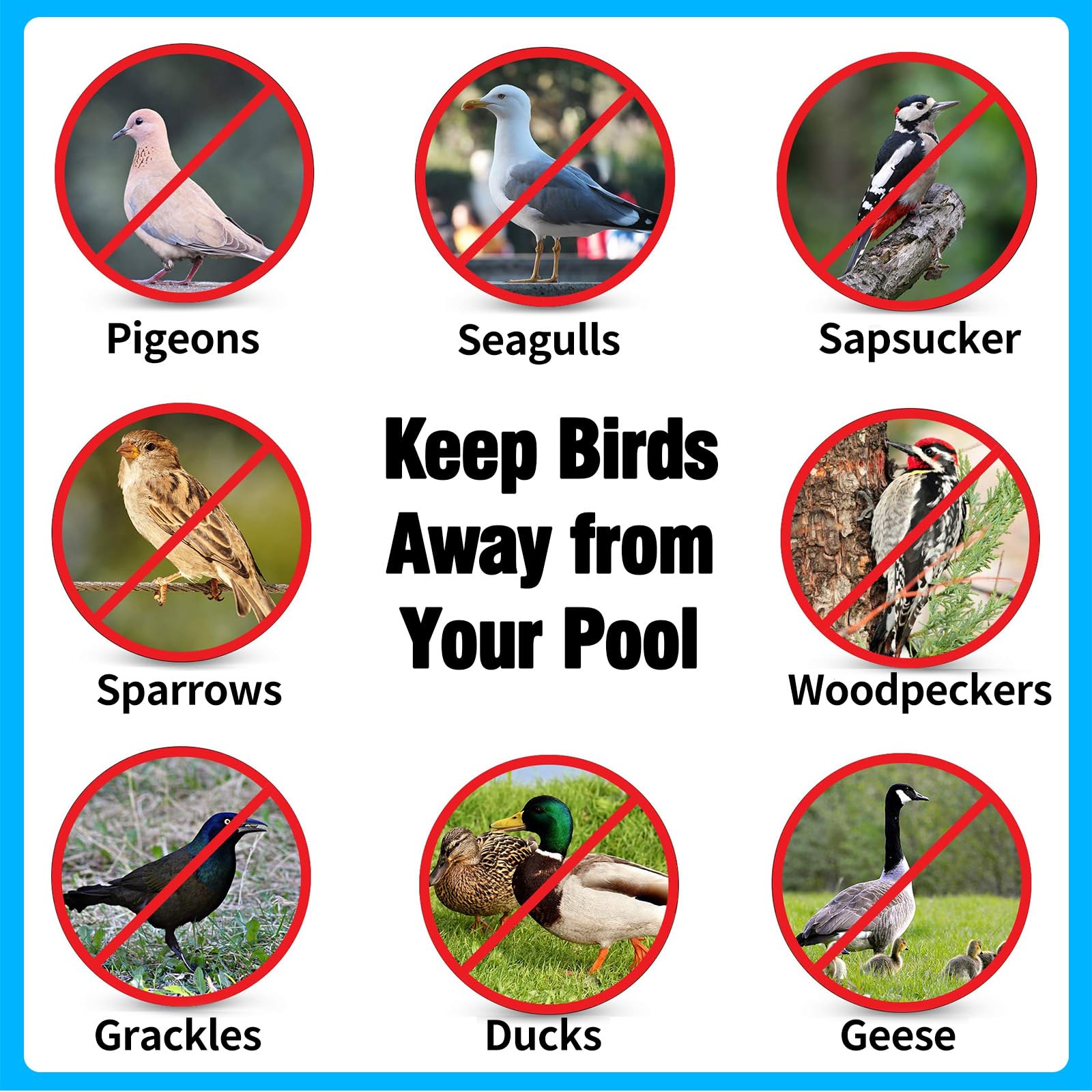 GFYYBKJ poolside in use demonstrating visible presence to keep ducks away