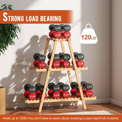GHWIE three tiers filled with potted plants to show styling and shelf capacity