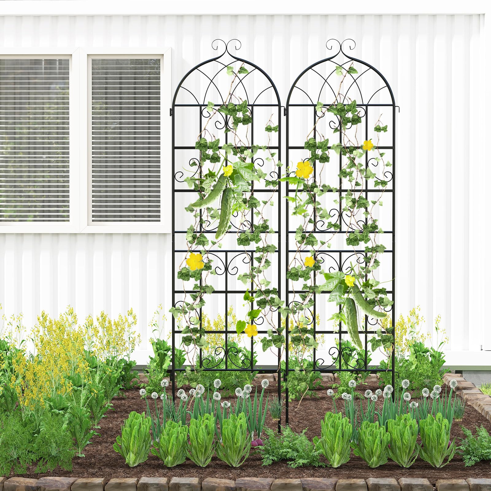 GIANTEX trellis supporting climbing roses for neat vertical display