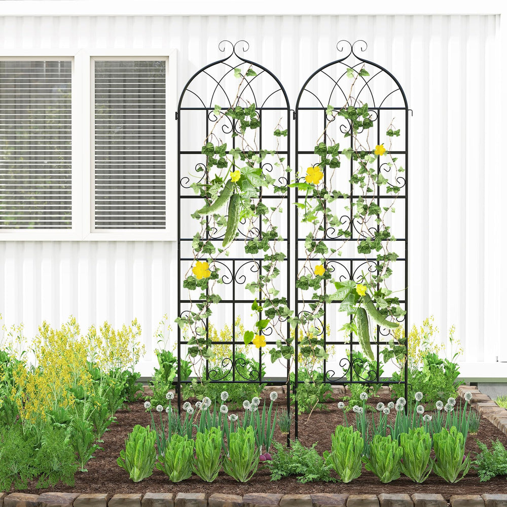 GIANTEX trellis supporting climbing roses for neat vertical display