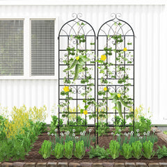 GIANTEX trellis supporting climbing roses for neat vertical display