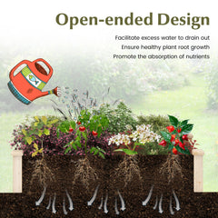 GIANTEX interior with soil showing planting depth and usable volume