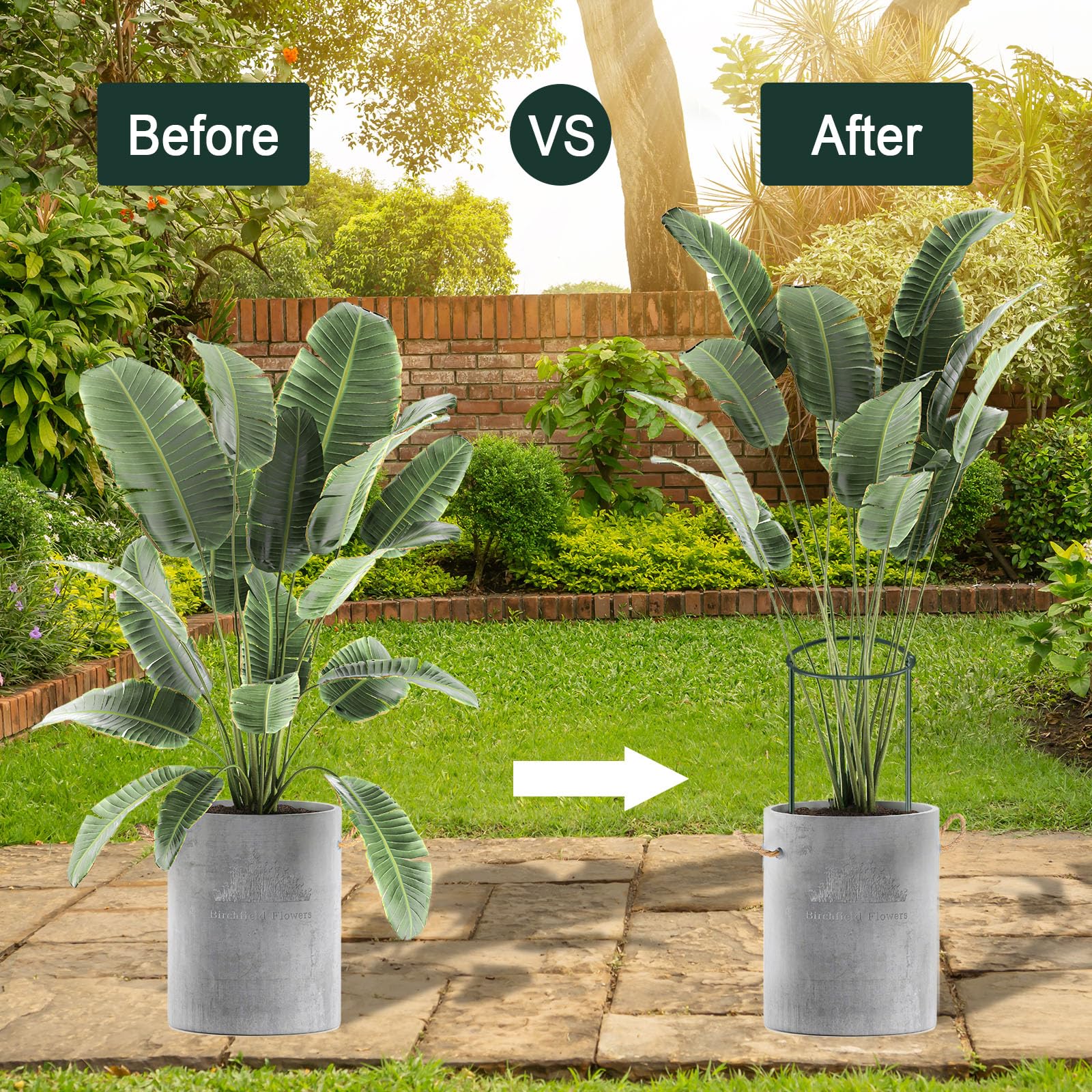 Gicare included labels and twist ties organized for quick plant identification